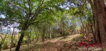 SL411 – Terreno en el area de San Lucas Sacatepequez